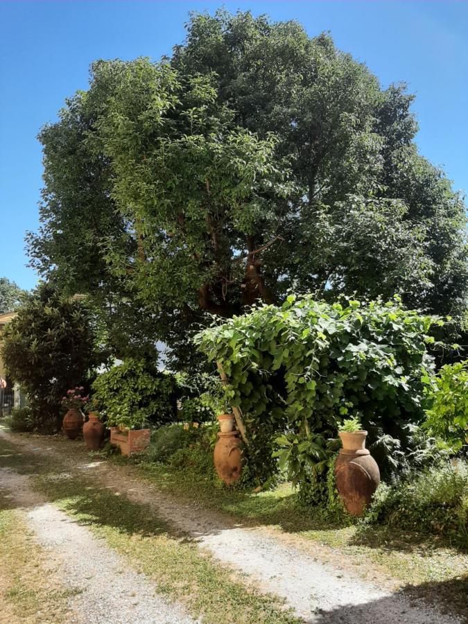 Antica Fattoria La Verdina Camaiore Exterior foto